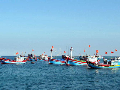 Cấp hạn ngạch khai thác trong quản lý nghề cá bền vững tại Việt Nam