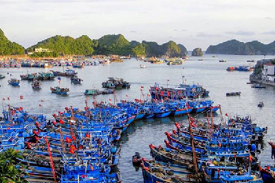 Hải Phòng: Triển khai chống khai thác hải sản bất hợp pháp năm 2020 