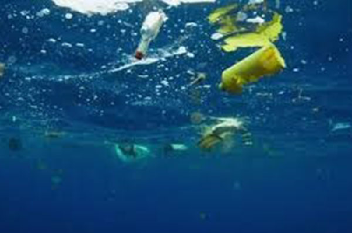 Có những vùng biển - Rác thải nhựa nhiều gấp 7 lần cá con 