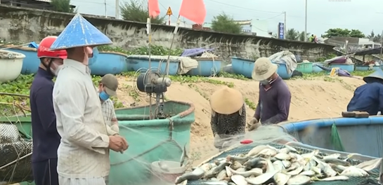 Bà Rịa - Vũng Tàu: Ngư dân ra khơi đánh bắt hiệu quả sau hơn 2 tháng giãn cách xã hội theo Chỉ thị 16 của Thủ tướng Chính phủ