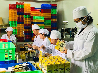 Phát triển công nghiệp sinh học: Đa dạng sản phẩm chế biến từ thủy sản Việt Nam